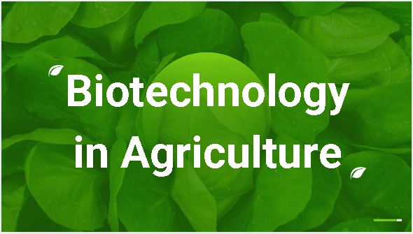 Biotechnology in Agriculture