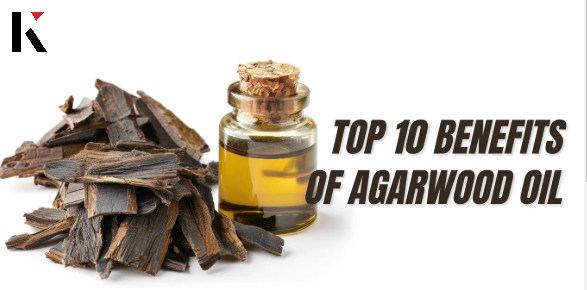 Agarwood Essential Oil Market