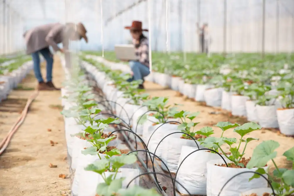 What is an Agriculture License and how to get it?