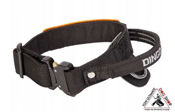 Dog Collar with Handle