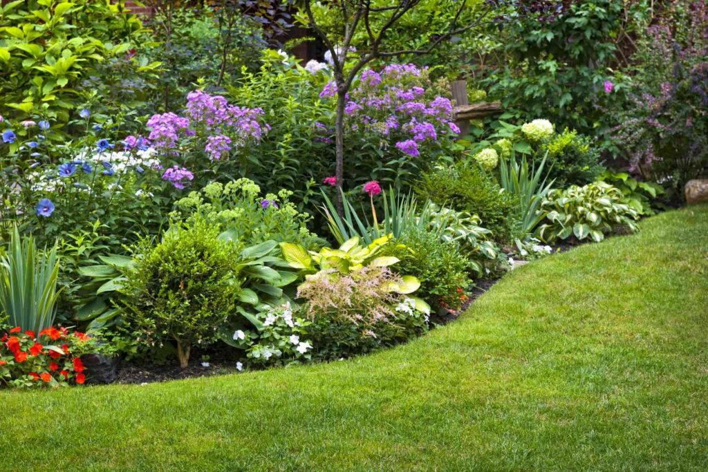 Destined Landscapes LLC