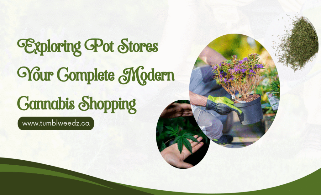 Pot Stores