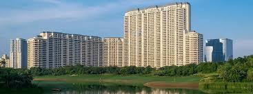 DLF 1