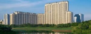 DLF
