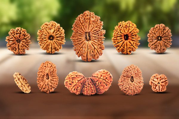 The Spiritual Significance and Benefits of Rudraksha