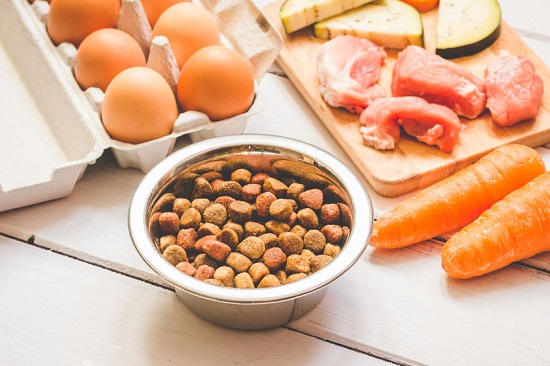 Pet Food Ingredients Market