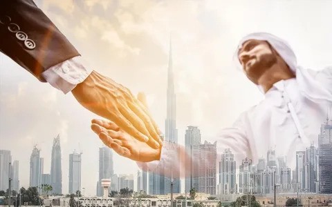 Pro Services Dubai