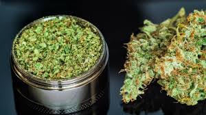Weed Delivery in Elora