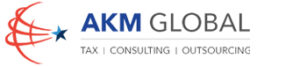 gst consultant in india
