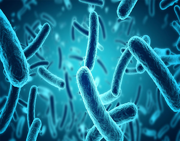 What Is Banocide Forte and How Does It Work?