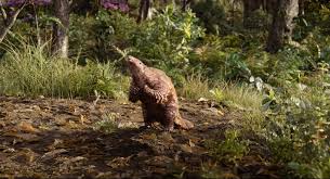 Pablo the Pangolin jungle story