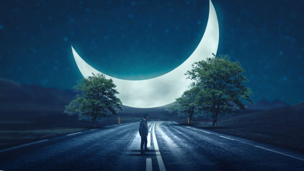 Lost Moon Summer book by Stu Lesson