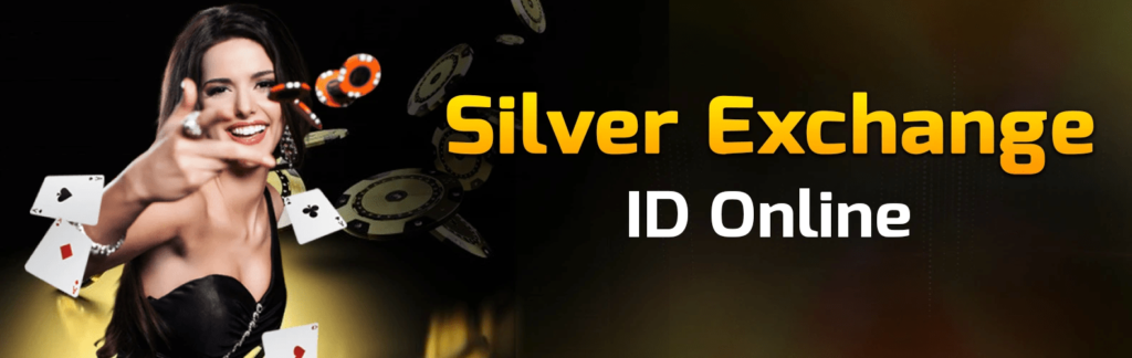 silver exchange id provider