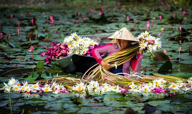 Mekong Delta Vietnam