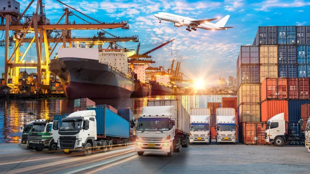 Effortless Moves Transportation