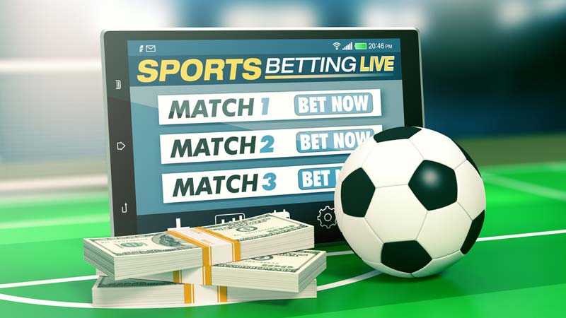 betting guide beginners