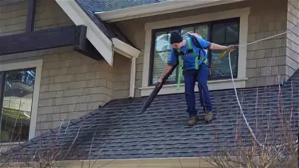 gutter cleaning Dandenong