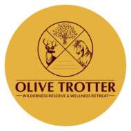 Olive Trotter Resort